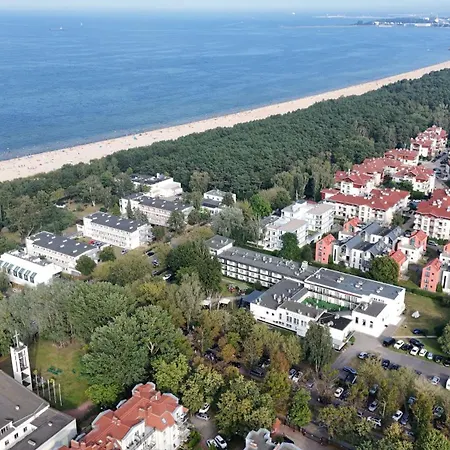 Prawdzic & Wellness