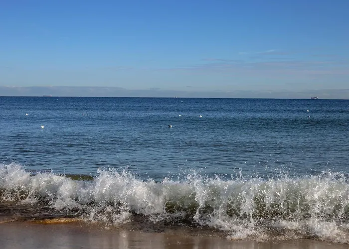 公寓式酒店 Prawdzic & Wellness 4*